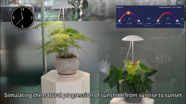 Amazon.com : LED Grow Light for Indoor Plants 4 Pack, Intelligent